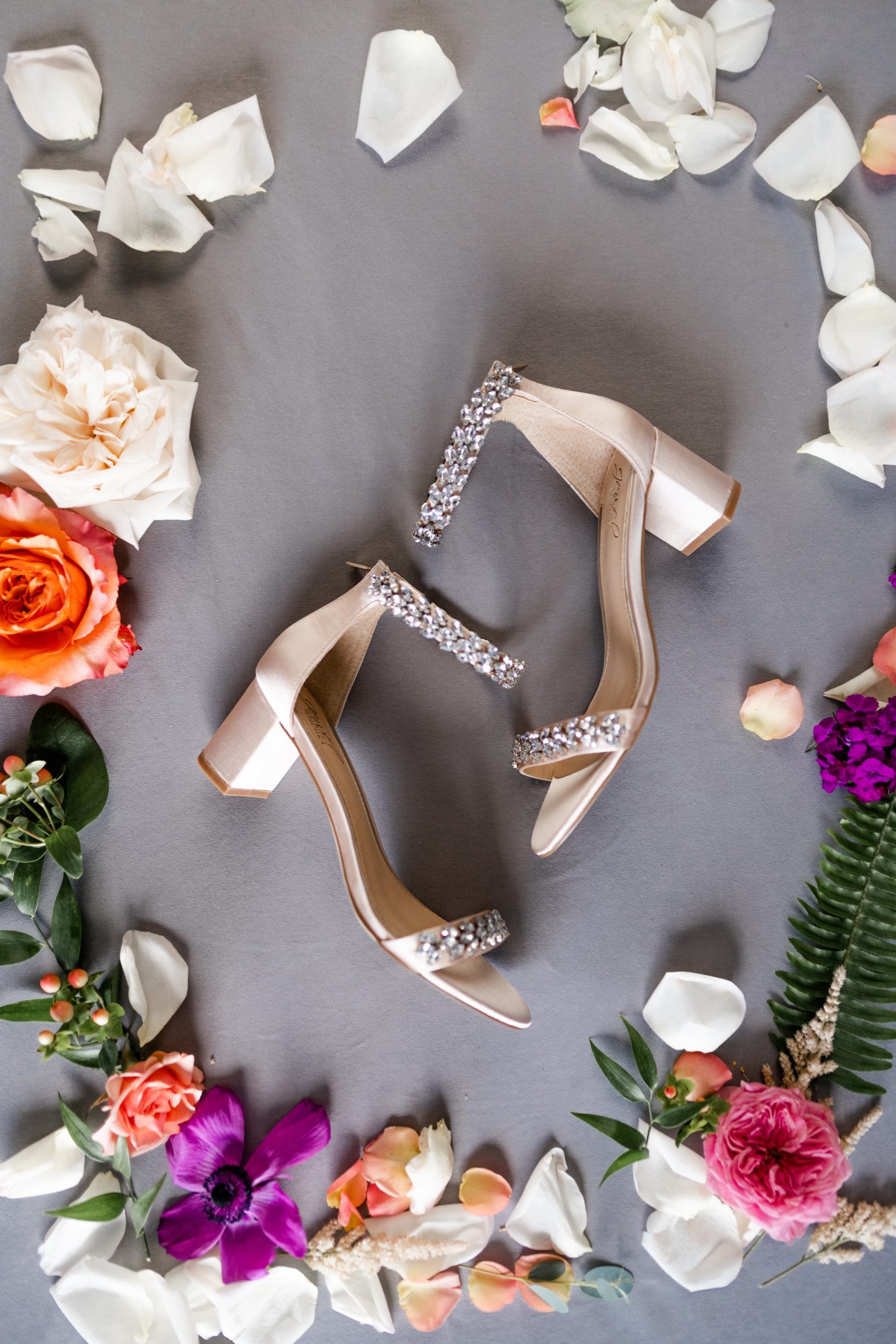 sms (26 of 1263).jpg