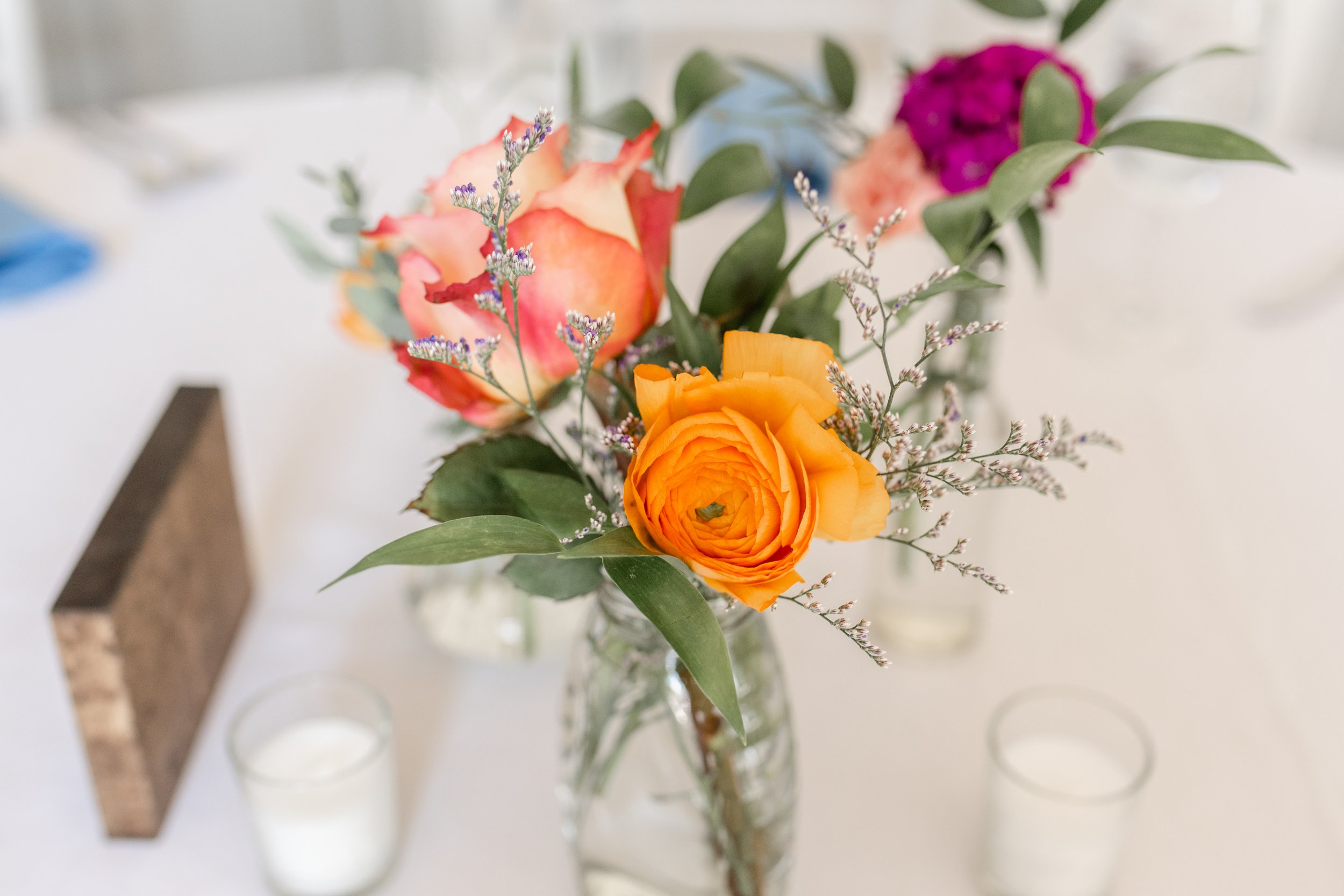 sms (497 of 1263).jpg