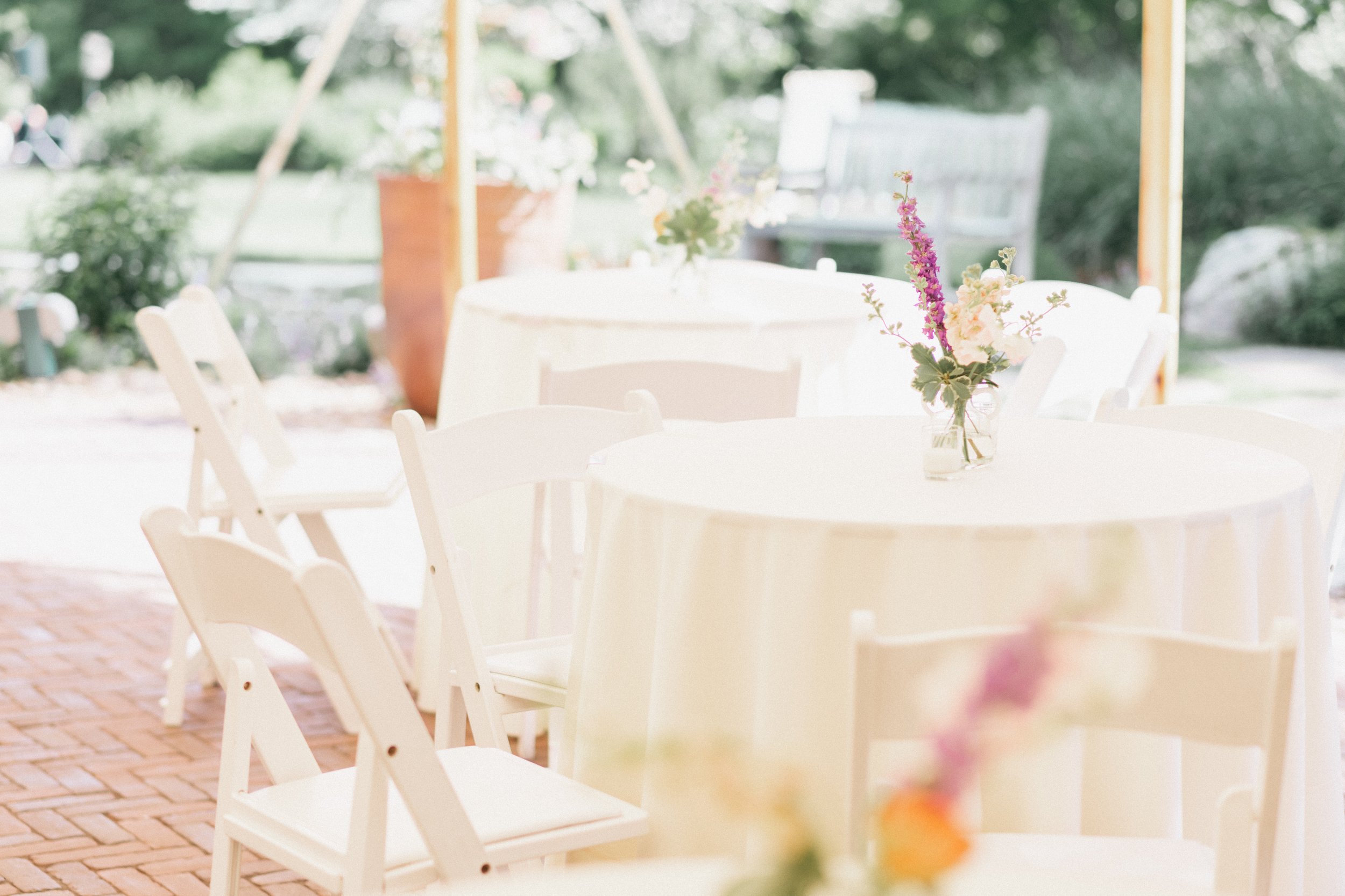 sms (42 of 1113).jpg