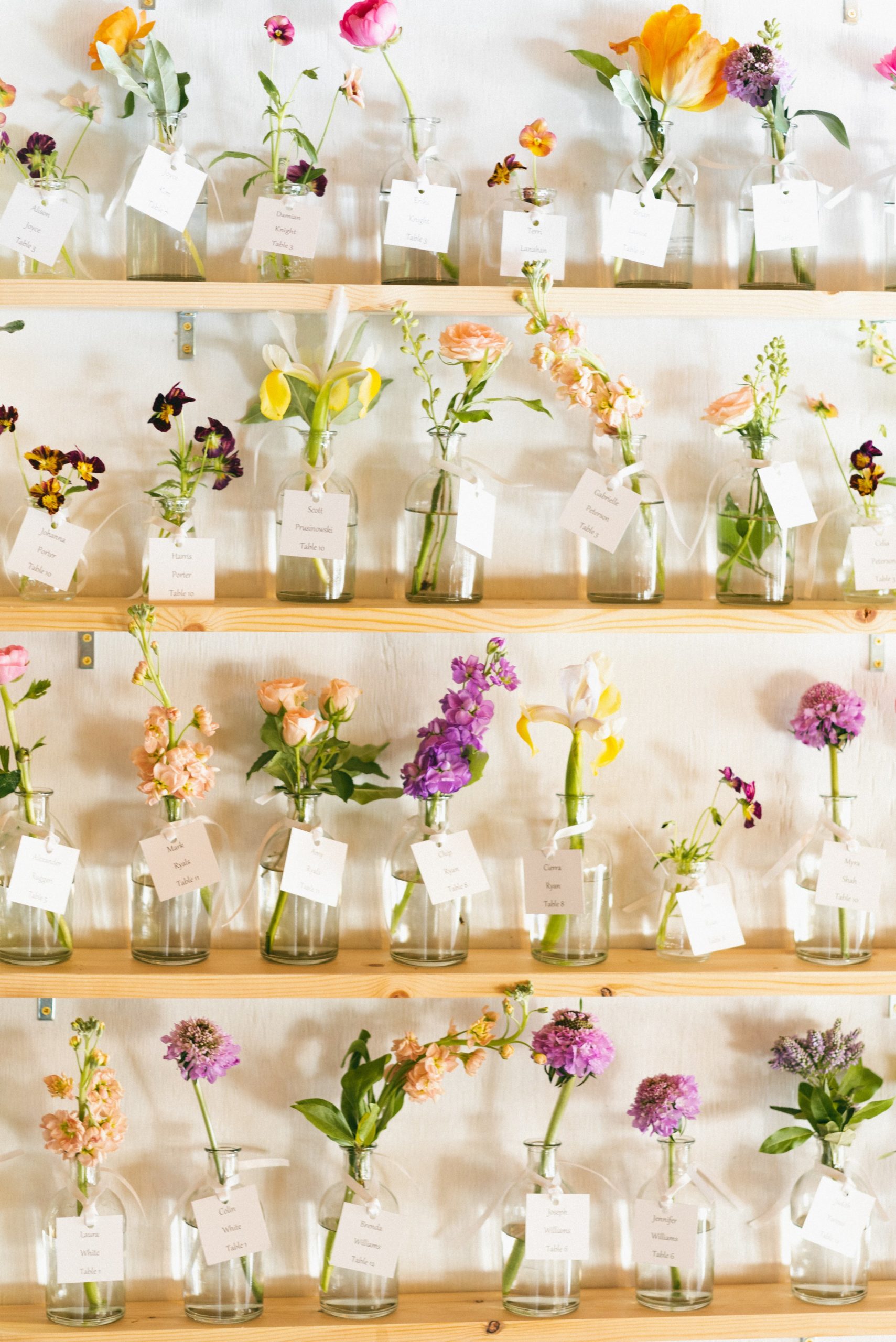 sms (707 of 1113).jpg